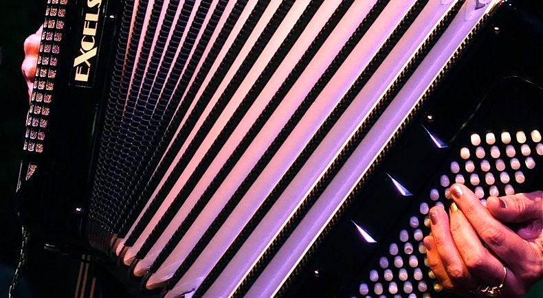 Close-up of Excelsior accordion bellows showing quality craftsmanship

